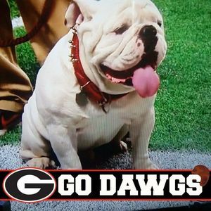 Meet your Posher, Lance